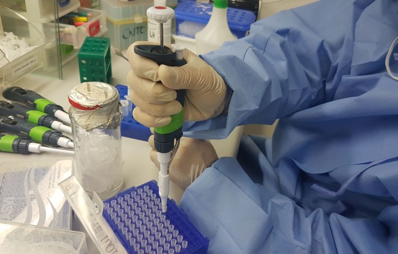 Vacina brasileira contra a covid-19 avança em testes de laboratório