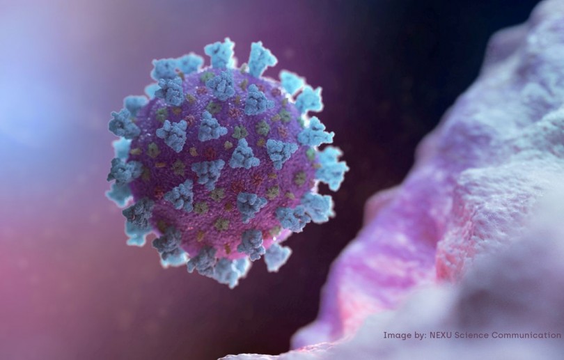 Covid-19: pesquisa associa casos graves a desgaste do sistema imune