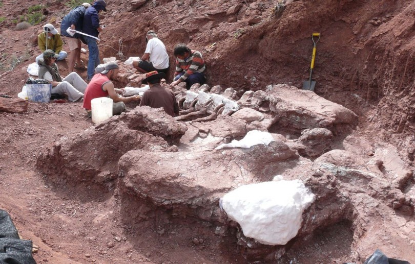 Titanossauro descoberto na Argentina é exemplar mais antigo da espécie
