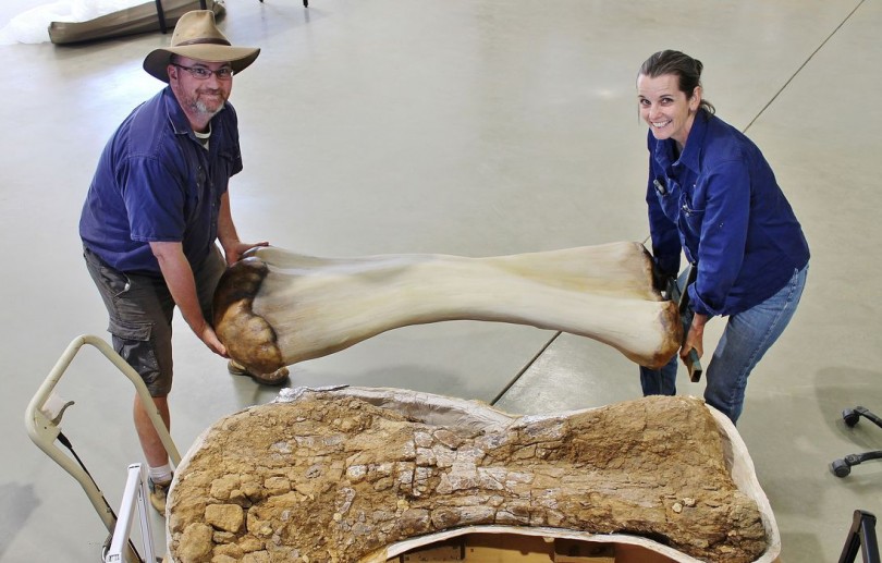 Dinossauro descoberto na Austrália é identificado como nova espécie