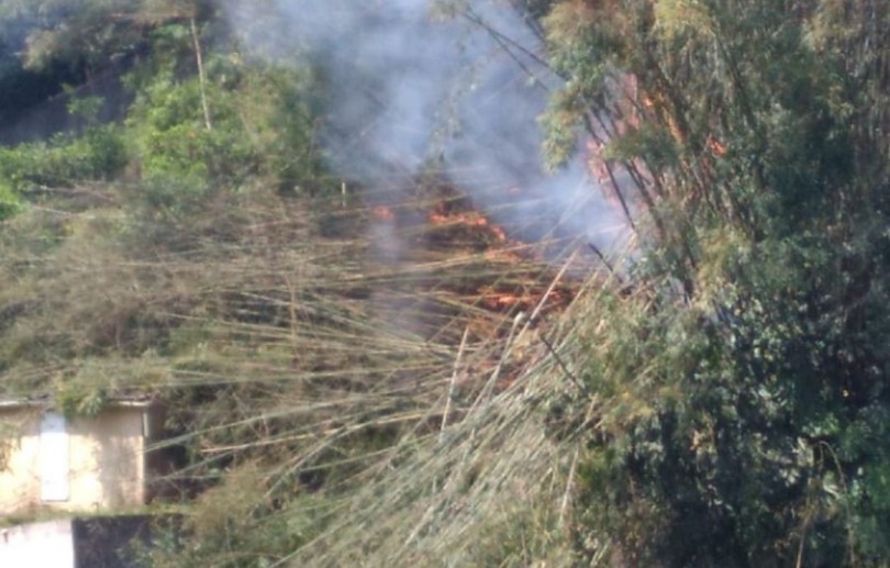 Incêndio em área de vegetação no Valparaíso mobiliza os bombeiros