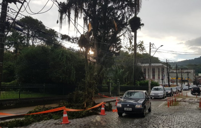 Chuva provoca quedas de árvores em vários pontos de Petrópolis