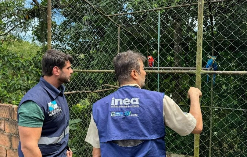 Secretaria do Ambiente e Sustentabilidade, Inea e Polícia Federal resgatam 38 animais silvestres, em Cachoeiras de Macacu