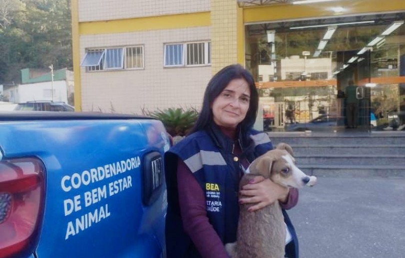 Coordenadoria de Bem-Estar Animal realiza prisão por maus-tratos no Alto da Serra