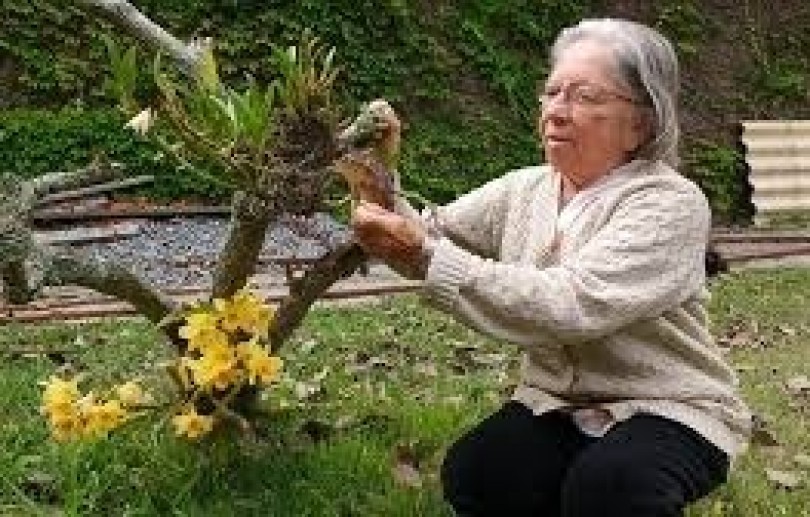 Ex-vereadora Wilma Borsato morre em Petrópolis aos 90 anos
