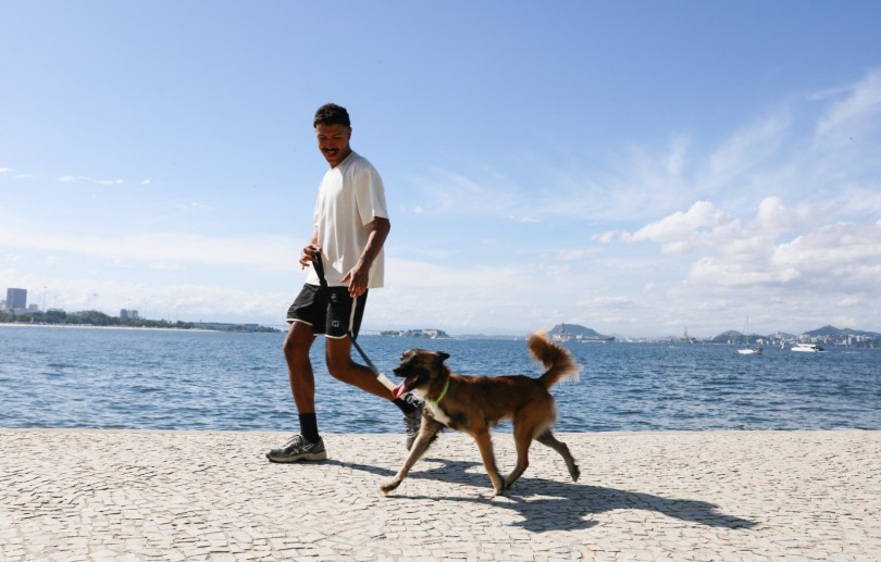 Suplementação e medicamentos manipulados para pets: o que perguntar antes de começar o tratamento