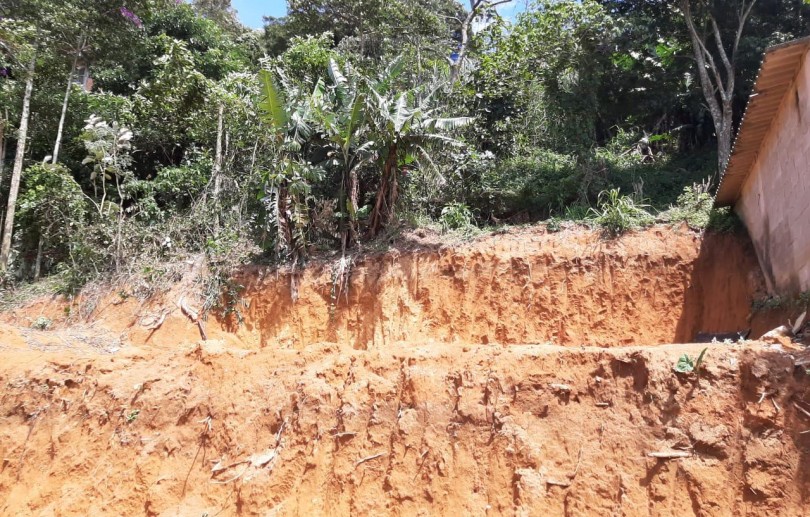 Prefeitura interdita área com movimentação de terra e corte de árvores irregular no Quarteirão Brasileiro