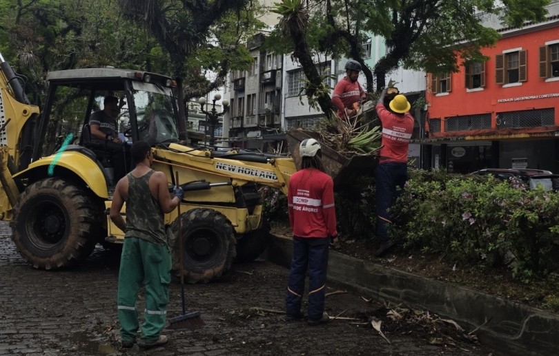 Comdep remove árvore caída e libera Rua do Imperador