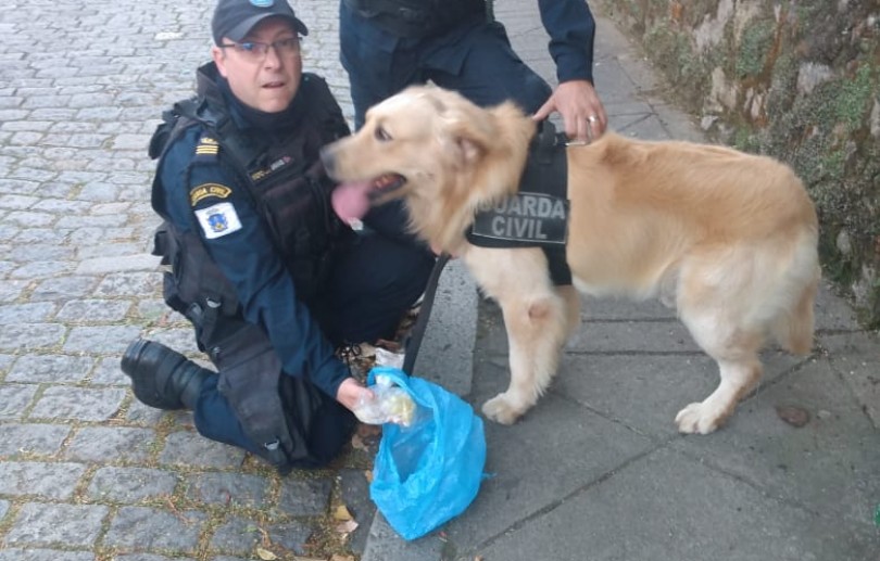 Cão da Guarda Civil encontra drogas na Rua do Encanto