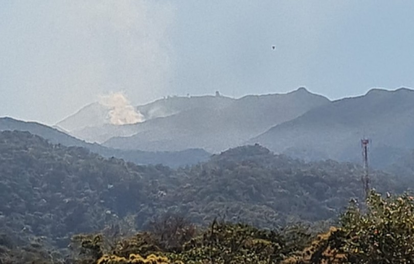 Corpo de Bombeiros extinguem incêndio florestal no Rocio