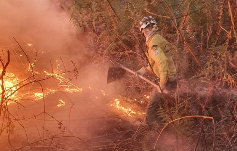 Três incêndios florestais atingem Araras e Vale das Videiras em menos de 24 horas