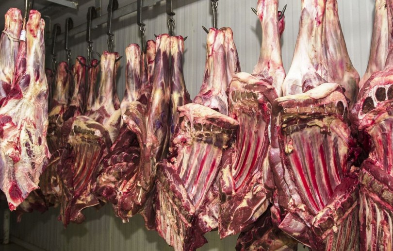 Comércio irregular de carne é alvo de operação no interior paulista
