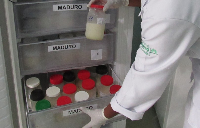 Agosto Dourado: Banco de Leite Humano do Hospital Unimed Petrópolis incentiva a doação de leite materno