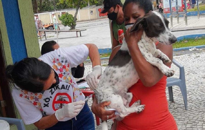 Cabo Frio imuniza 9.446 cães e gatos durante campanha no fim de semana